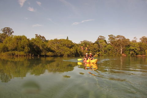 2-Hour Rental Kayak Double In Brunswick River - Accommodation Broome 5