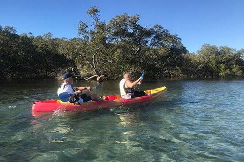 2-Hour Rental Kayak Double In Brunswick River - Accommodation Broome 4