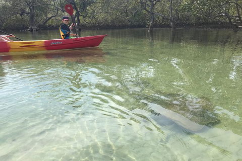 2-Hour Rental Kayak Double In Brunswick River - Accommodation Broome 6