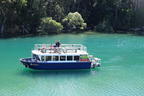 Byron Bay Rainforest Eco-Cruise - Accommodation Broome 0