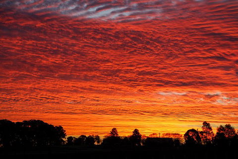 Private Full-Day Wine Tour In Hunter Valley - Accommodation Broome 0