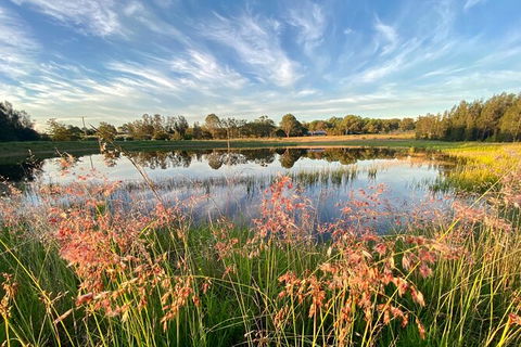 Private Full-Day Wine Tour In Hunter Valley - Accommodation Broome 5