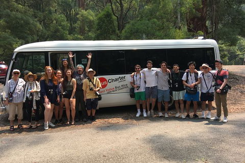 Private 24 Seat Mini Bus Sydney CBD To Taronga Zoo Transfer - Accommodation Broome 4