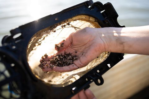 Oyster Farm Tour- Hawkesbury River (1hr North Of Sydney). - Accommodation Broome 5