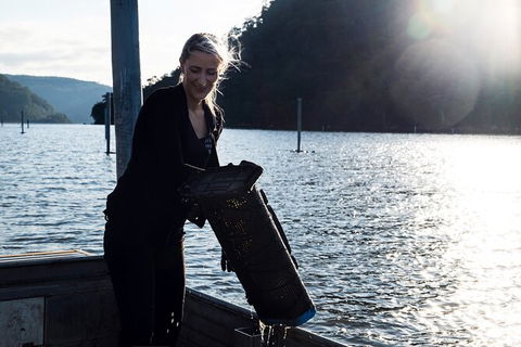 Oyster Farm Tour- Hawkesbury River (1hr North Of Sydney). - Accommodation Broome 1