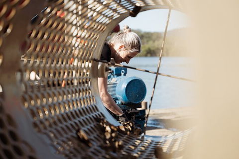 Oyster Farm Tour- Hawkesbury River (1hr North Of Sydney). - Accommodation Broome 3