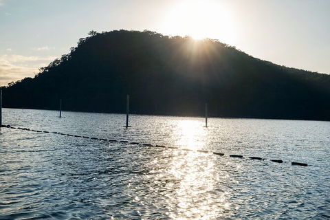 Oyster Farm Tour- Hawkesbury River (1hr North Of Sydney). - Accommodation Broome 4