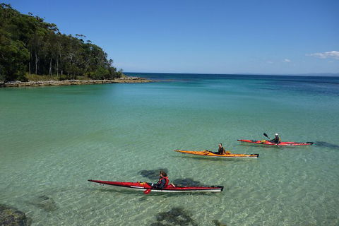Half-Day Jervis Bay Sea Kayak Tour - Accommodation Broome 3