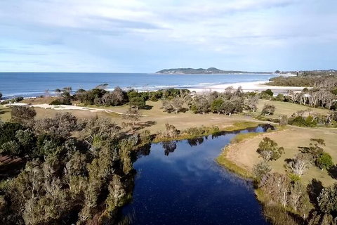 Coffee Farm Tour And Workshop, Byron Bay Hinterland - Accommodation Broome 3