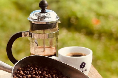 Coffee Farm Tour And Workshop, Byron Bay Hinterland - Accommodation Broome 0