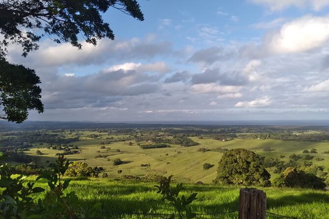 Coffee Farm Tour And Workshop, Byron Bay Hinterland - Accommodation Broome 4