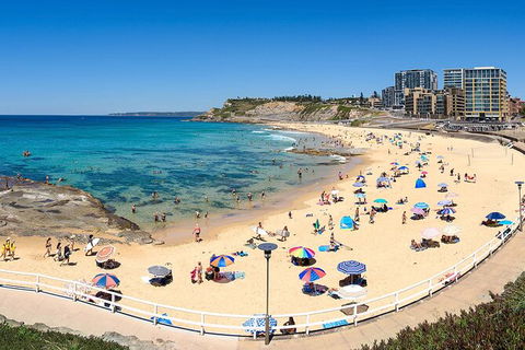 Newcastle Scenic Explorer - 2 Hour Tour By Minibus - Accommodation Broome 16