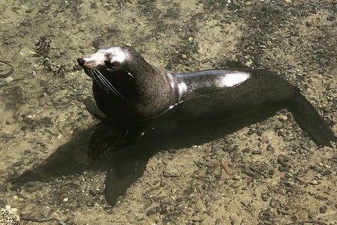South Coast Photography Field Day - Accommodation Broome 5