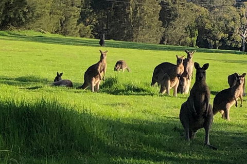 South Coast Photography Field Day - Accommodation Broome 6