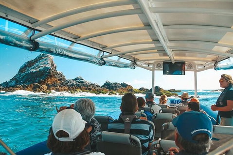Julian Rocks Byron Bay Cruise - Accommodation Broome 13