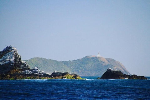 Julian Rocks Byron Bay Cruise - Accommodation Broome 2