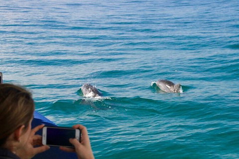 Julian Rocks Byron Bay Cruise - Accommodation Broome 9