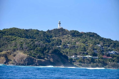 Julian Rocks Byron Bay Cruise - Accommodation Broome 7