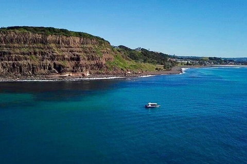Julian Rocks Byron Bay Cruise - Accommodation Broome 6