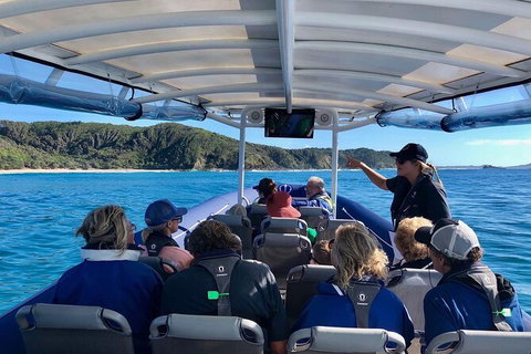 Julian Rocks Byron Bay Cruise - Accommodation Broome 11
