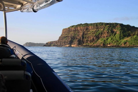 Julian Rocks Byron Bay Cruise - Accommodation Broome 17