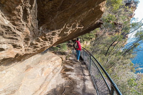 Blue Mountains Highlights & Wildlife Park - Accommodation Broome 0