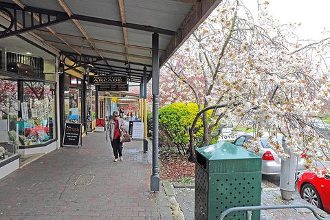Blue Mountains Highlights & Wildlife Park - Accommodation Broome 2