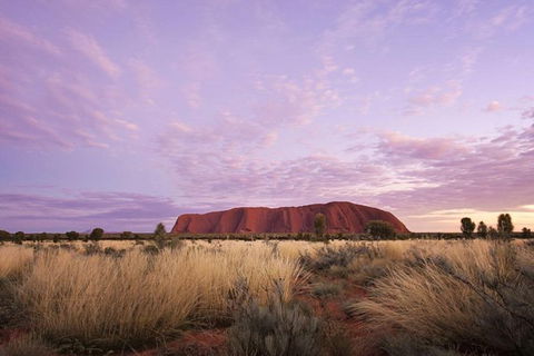 Explore Uluru: 7 Hours Guide Tour At Sunrise With Light Breakfast - Accommodation Broome 4