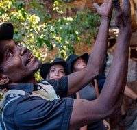 Arnhem Land Injalak Hill Full-Day Tour from Darwin - Accommodation Broome