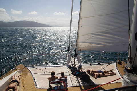 Passions Of Paradise Great Barrier Reef Snorkel And Dive Cruise From Cairns By Luxury Catamaran - Accommodation Broome 8