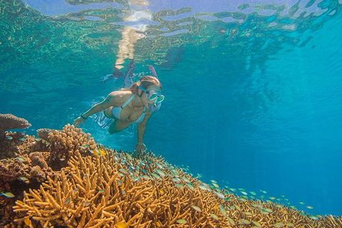Passions Of Paradise Great Barrier Reef Snorkel And Dive Cruise From Cairns By Luxury Catamaran - Accommodation Broome 2