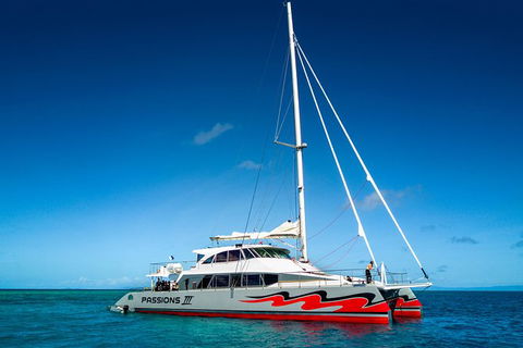 Passions Of Paradise Great Barrier Reef Snorkel And Dive Cruise From Cairns By Luxury Catamaran - Accommodation Broome 0