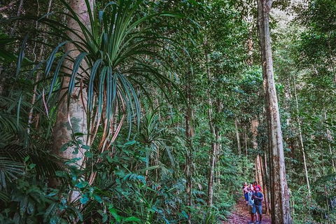 Atherton Tablelands Rain Forest By Night From Cairns - Accommodation Broome 0