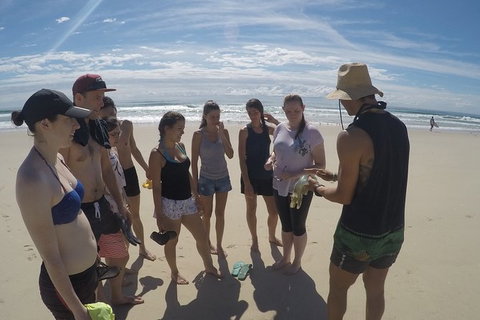 Half Day Dolphin Kayaking And Snorkeling Tour - Accommodation Broome 6