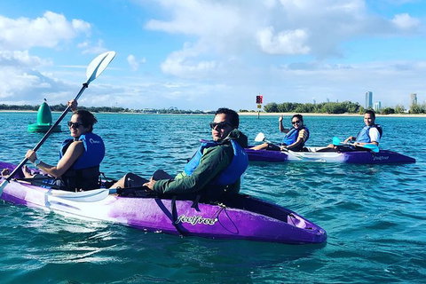 Half Day Dolphin Kayaking And Snorkeling Tour - Accommodation Broome 5