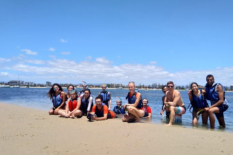 Half Day Dolphin Kayaking And Snorkeling Tour - Accommodation Broome 9