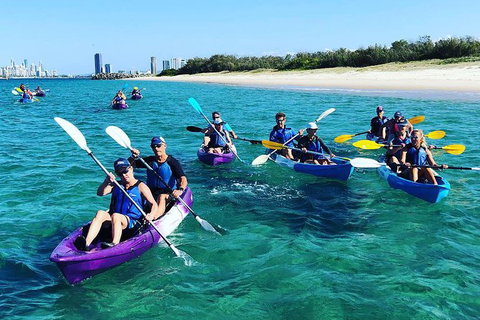 Half Day Dolphin Kayaking And Snorkeling Tour - Accommodation Broome 11