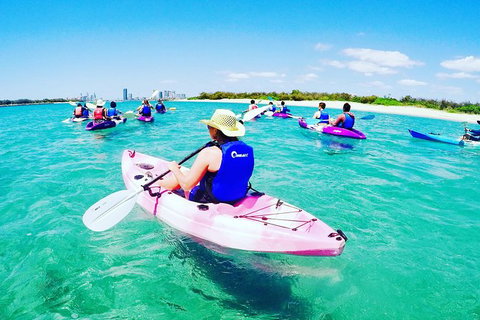 Half Day Dolphin Kayaking And Snorkeling Tour - Accommodation Broome 0