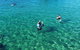Half Day Dolphin Kayaking And Snorkeling Tour - thumb 12