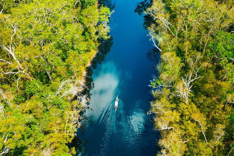 Cruise \'n\' Canoe To Australia\'s Everglades - Accommodation Broome 1
