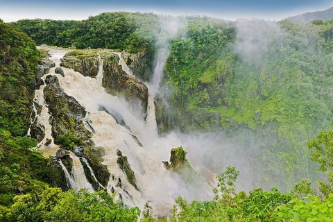 Barron Gorge And Kuranda National Park Half Day Rainforest And Waterfall 4WD Tour From Cairns - Accommodation Broome 3