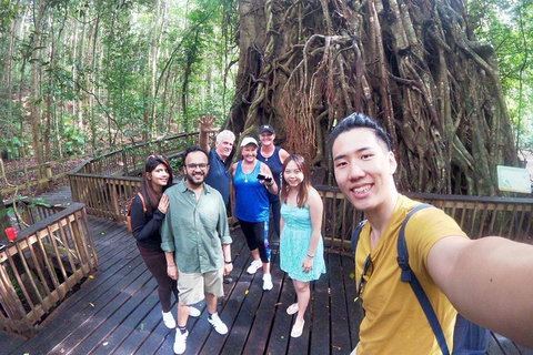 Barron Gorge And Kuranda National Park Half Day Rainforest And Waterfall 4WD Tour From Cairns - Accommodation Broome 2