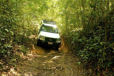 Barron Gorge And Kuranda National Park Half Day Rainforest And Waterfall 4WD Tour From Cairns - Accommodation Broome 0