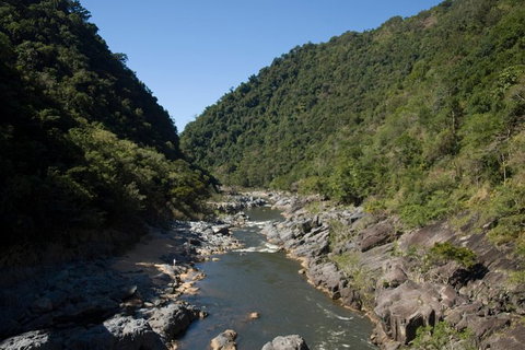 Barron Gorge And Kuranda National Park Half Day Rainforest And Waterfall 4WD Tour From Cairns - Accommodation Broome 5