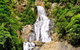 Barron Gorge And Kuranda National Park Half Day Rainforest And Waterfall 4WD Tour From Cairns - thumb 7