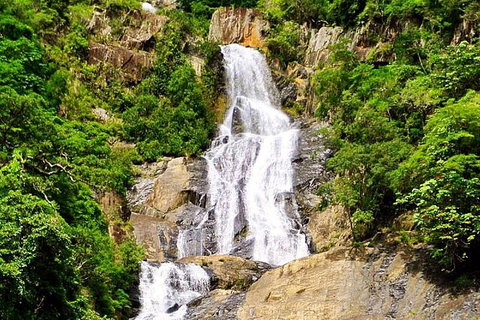 Barron Gorge And Kuranda National Park Half Day Rainforest And Waterfall 4WD Tour From Cairns - Accommodation Broome 7