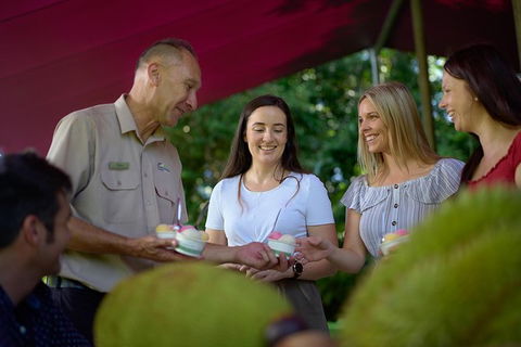 Daintree And Cape Tribulation Tour From Cairns - Accommodation Broome 1