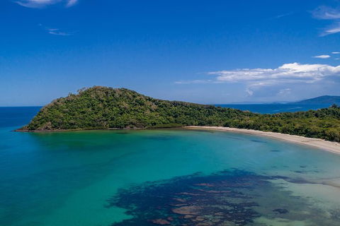 Daintree And Cape Tribulation Tour From Cairns - Accommodation Broome 7