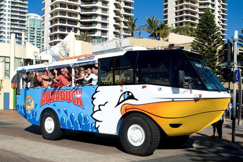 Aquaduck Gold Coast 1 Hour City And River Tour - Accommodation Broome 5