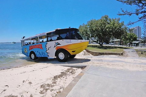 Aquaduck Gold Coast 1 Hour City And River Tour - Accommodation Broome 1